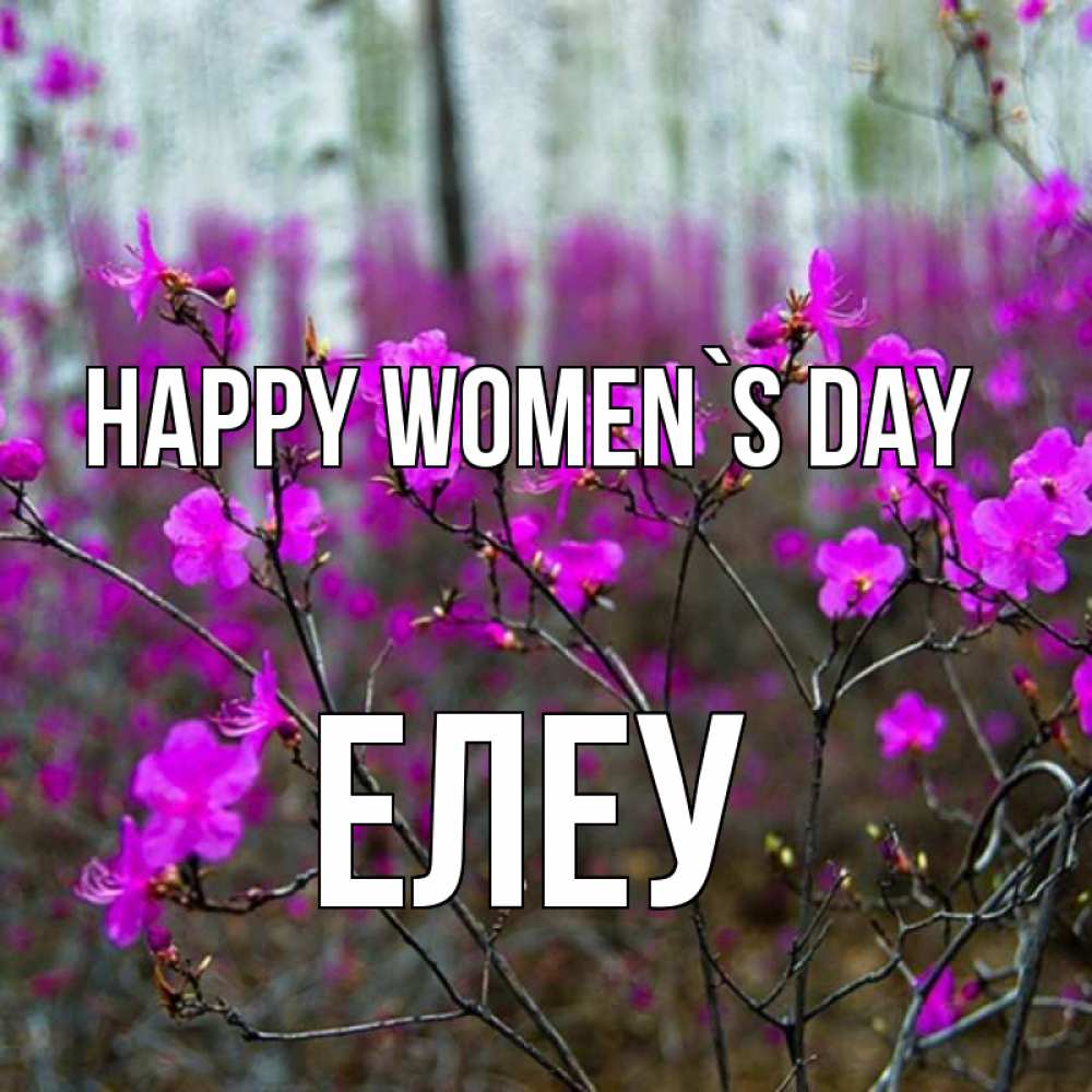 Greetings card с именем, Елеу happy women`s day дикие цветы Greetings with text for free download 
